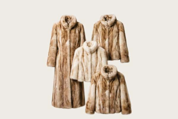 隆回县回收皮草衣服